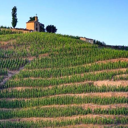 شقة Pres Des Vignes Crozes-Hermitage المظهر الخارجي الصورة