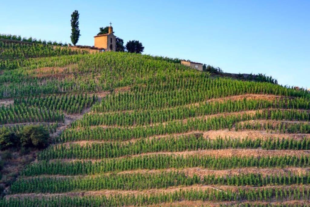 شقة Pres Des Vignes Crozes-Hermitage المظهر الخارجي الصورة