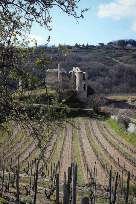 شقة Pres Des Vignes Crozes-Hermitage المظهر الخارجي الصورة