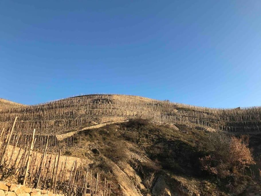 شقة Pres Des Vignes Crozes-Hermitage المظهر الخارجي الصورة